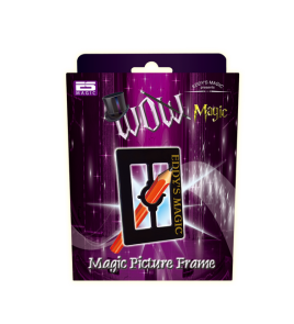 5722  Magic Picture Frame